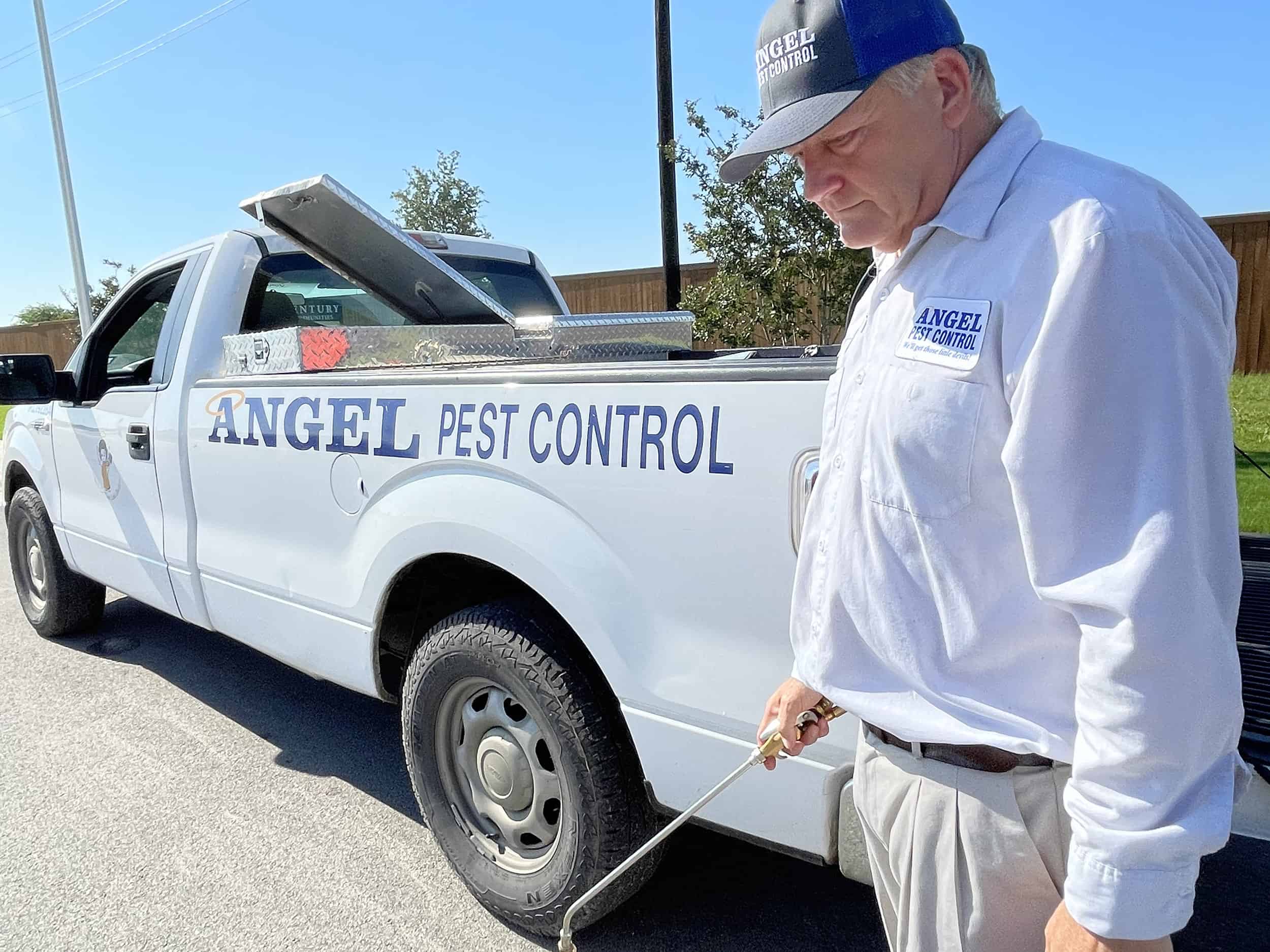 how-long-will-it-take-for-pest-control-to-work-angel-pest-control