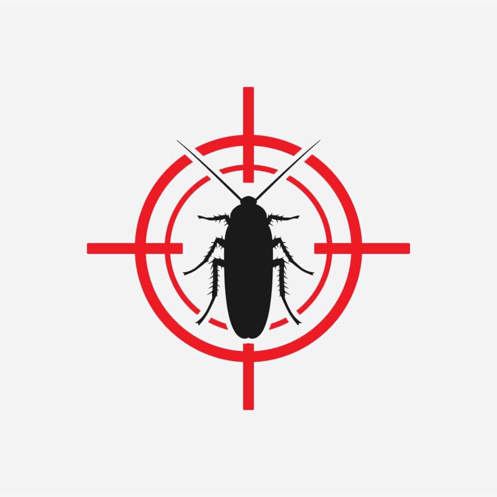 Cockroach pest control solutions